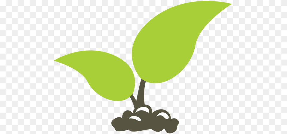 Direct Support, Leaf, Plant, Green, Sprout Free Png