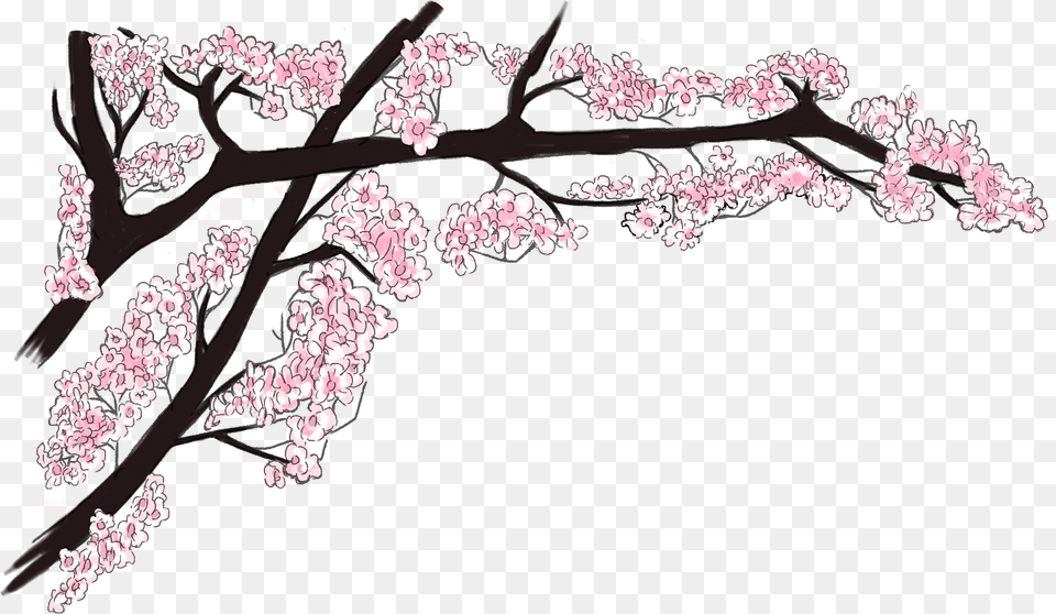 Directory Listing, Cherry Blossom, Flower, Plant, Person Free Png Download