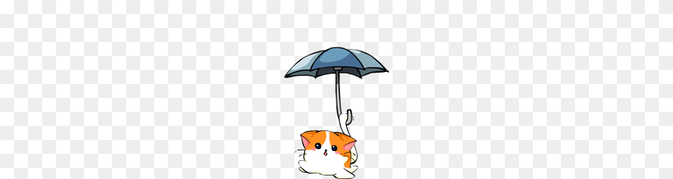 Directory Listing For Raincat Source Tarball Hackage, Canopy, Umbrella, Baby, Person Free Transparent Png