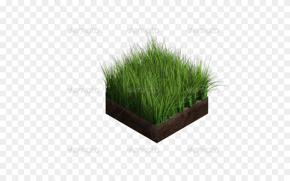 Dirt 05 Grass Ground For Design, Jar, Plant, Planter, Potted Plant Free Png