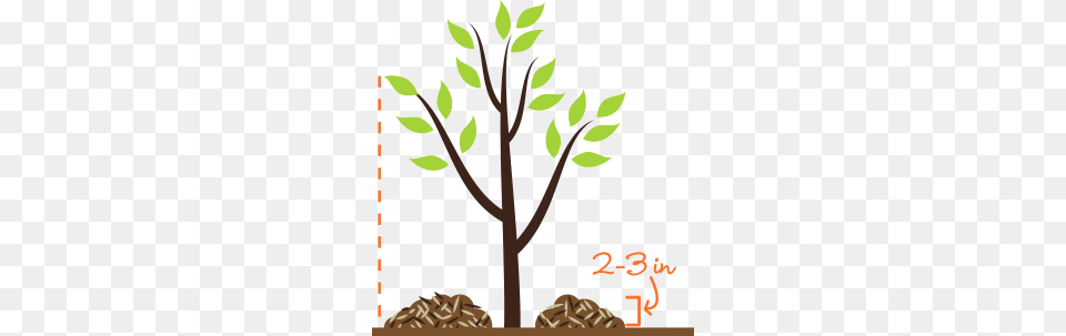 Dirt Clipart Mulch, Plant, Tree, Art, Vegetation Free Png Download
