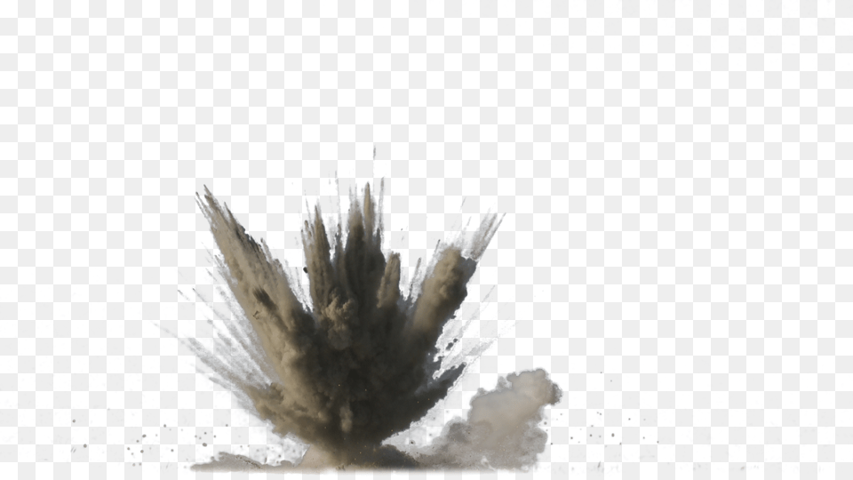 Dirt Explosion, Plant, Fire Free Transparent Png