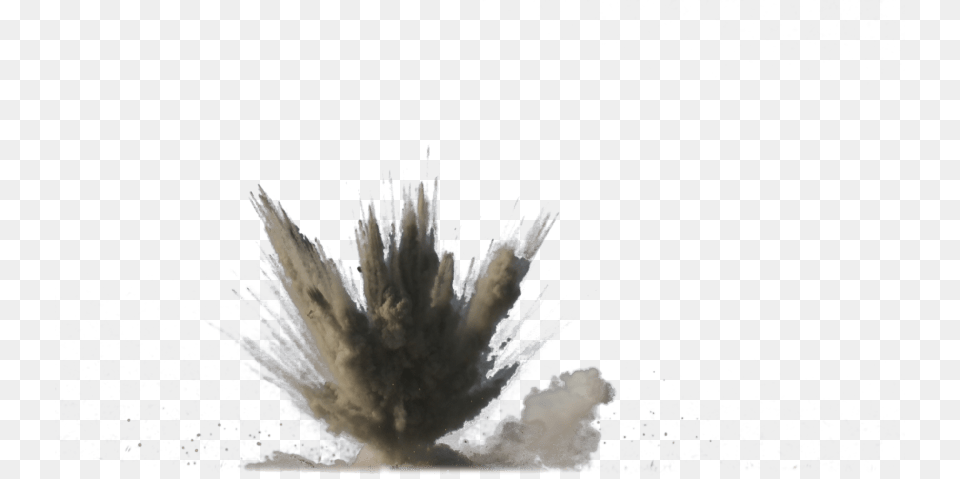 Dirt Explosion, Plant, Fireworks Png