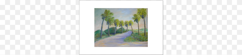 Dirt Road In Marineland Fl Poster By Patty Weeks Dirt Road In Marineland Fl Throw Blanket, Art, Painting, Path, Plant Free Png