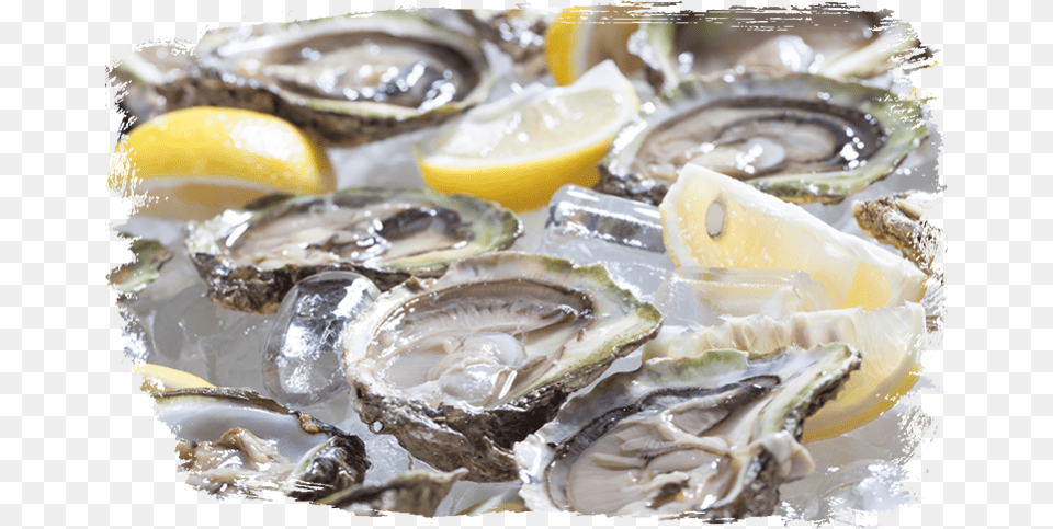 Dirty Al39s Bayou Grill Oyster Monday Oyster, Food, Seafood, Animal, Sea Life Free Transparent Png
