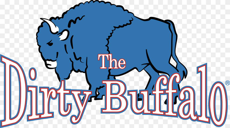 Dirty Buffalo, Animal, Mammal, Wildlife, Bull Free Transparent Png