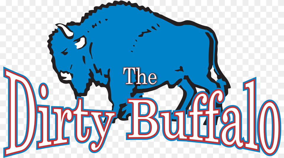 Dirty Buffalo, Animal, Mammal, Wildlife, Bison Free Png Download