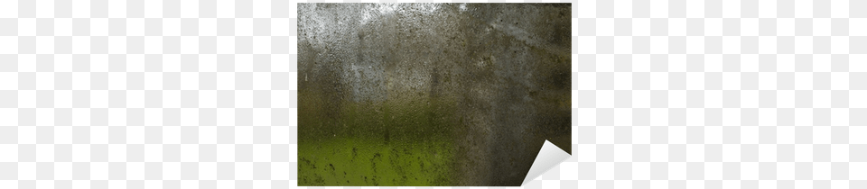 Dirty Glass Grass, Texture Free Png