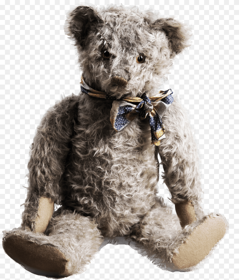 Dirty Teddy Bear Free Transparent Png