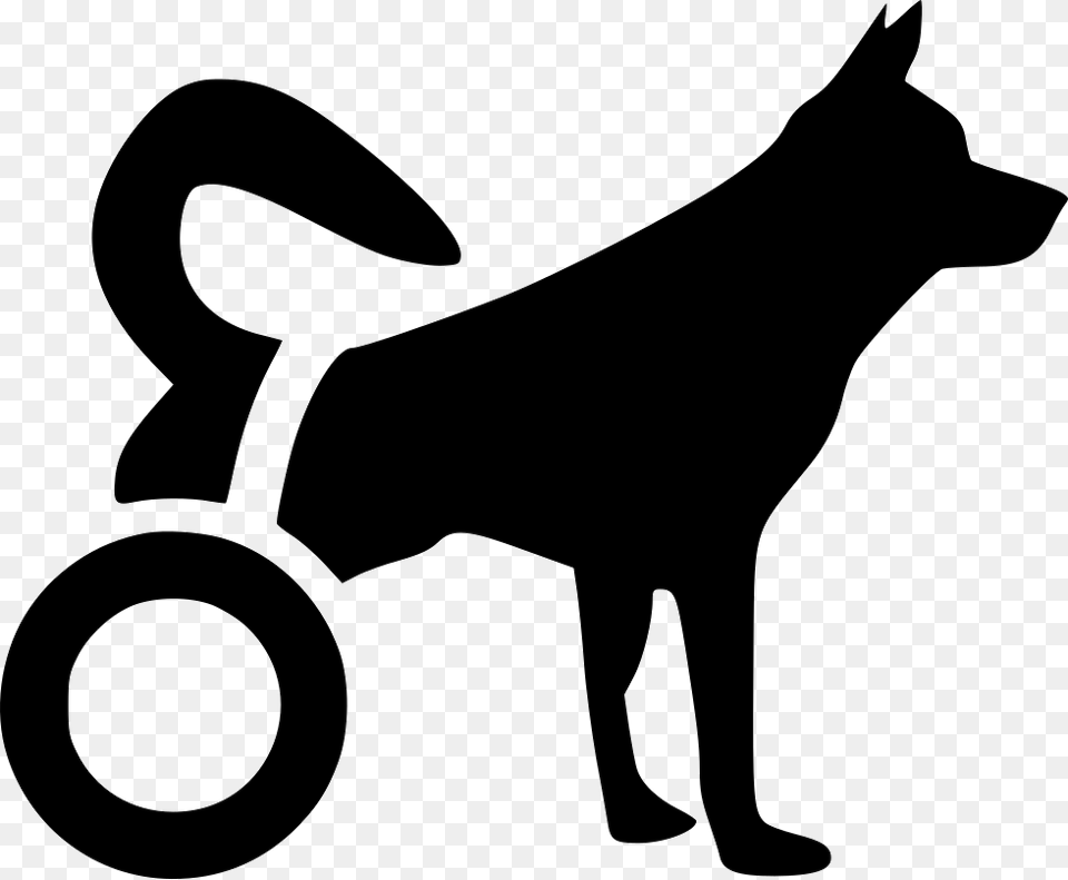 Disabled Dog Icon Silhouette, Stencil, Animal, Kangaroo Free Png Download