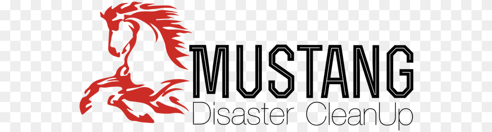 Disaster Restoration Cleaning Company South Dakota Unit Cost, Person, Dragon, Electronics, Hardware Png