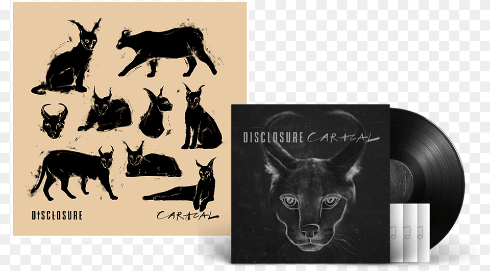Disclosure Caracal Full Album Download, Art, Collage, Animal, Bull Png