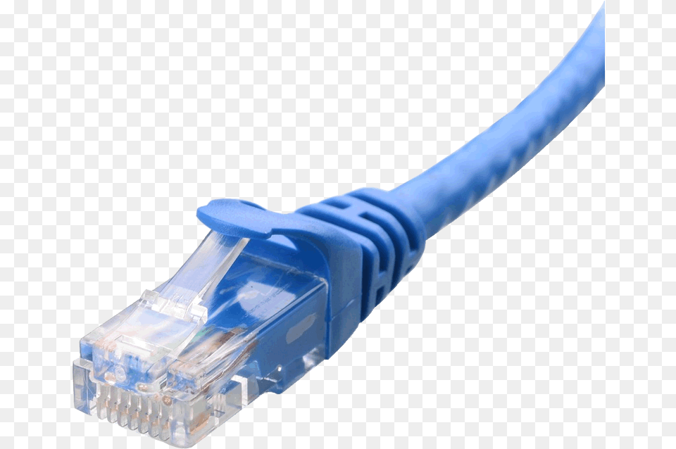 Disconnected Lan Cable Cat, Aircraft, Airplane, Transportation, Vehicle Free Png