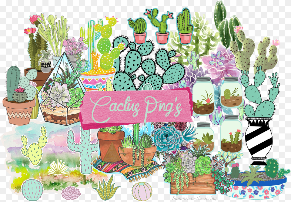 Discover Cactus Summer Png Image