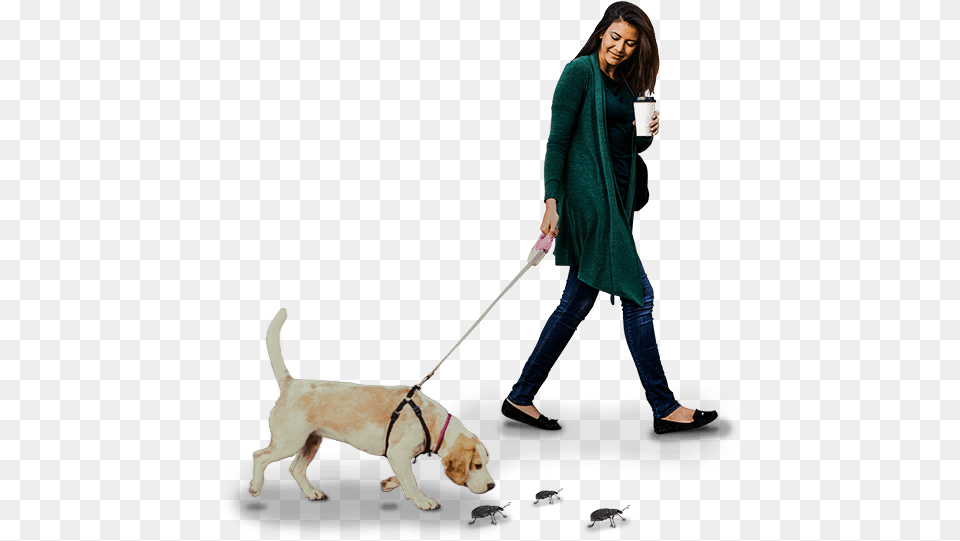 Discover Dog Walking, Accessories, Strap, Animal, Canine Png