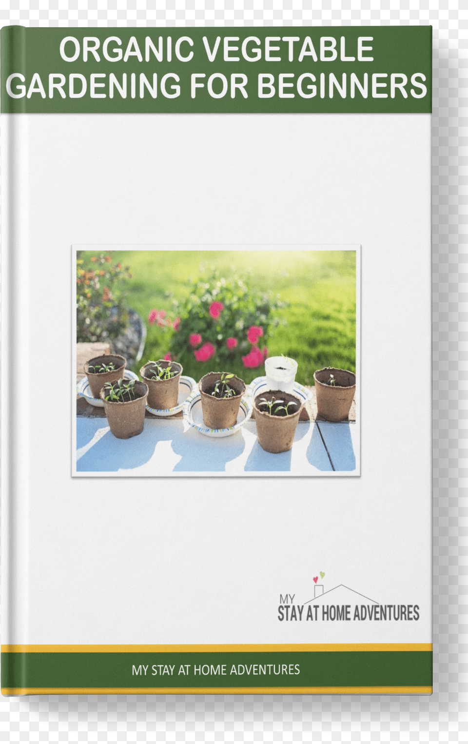 Discover Green Building, Herbal, Herbs, Jar, Plant Free Transparent Png