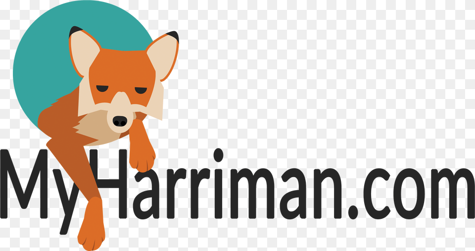 Discover Harriman State Park Hike Swim Camp Dog, Animal, Bear, Mammal, Wildlife Free Transparent Png