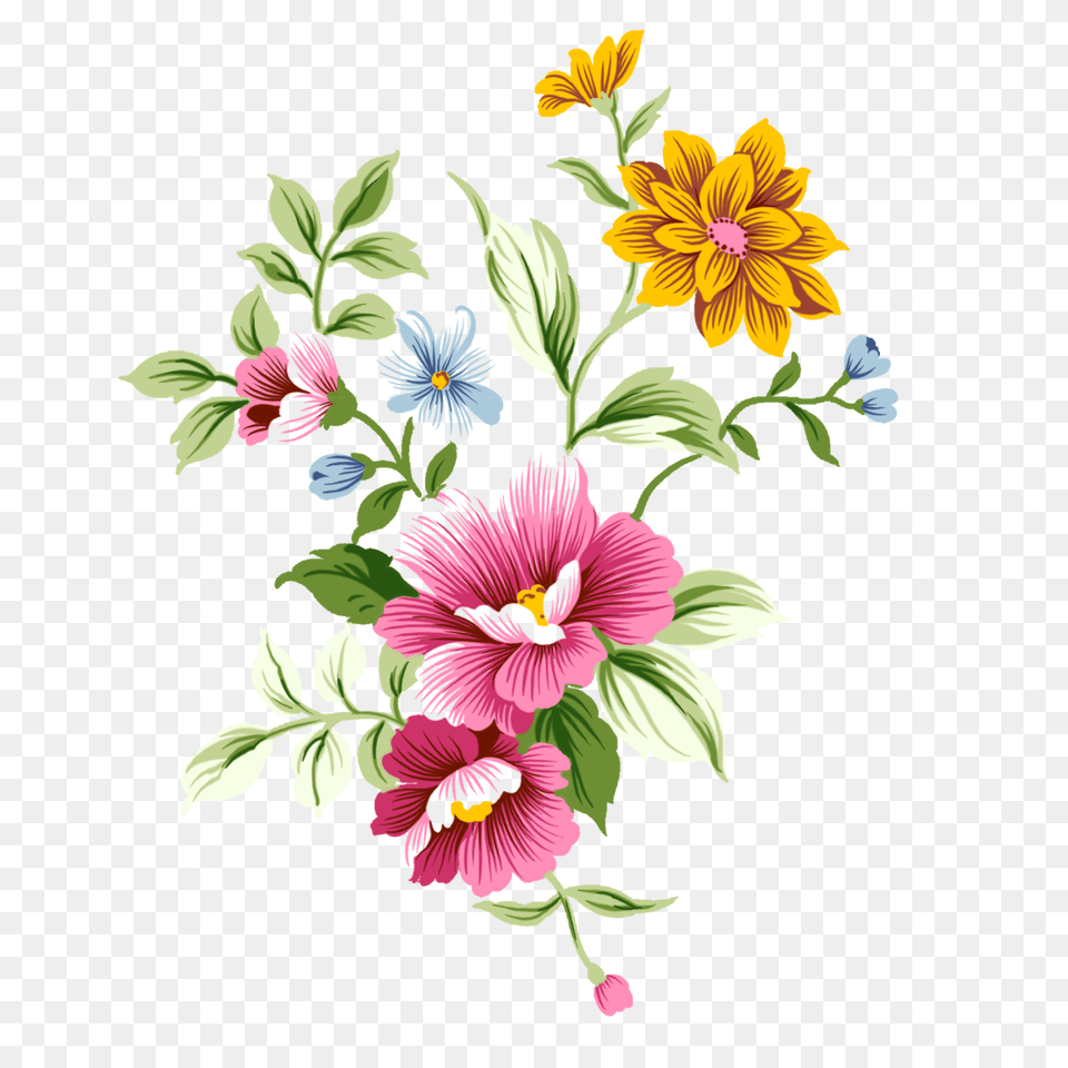 Discover The Coolest, Art, Floral Design, Graphics, Pattern Free Png