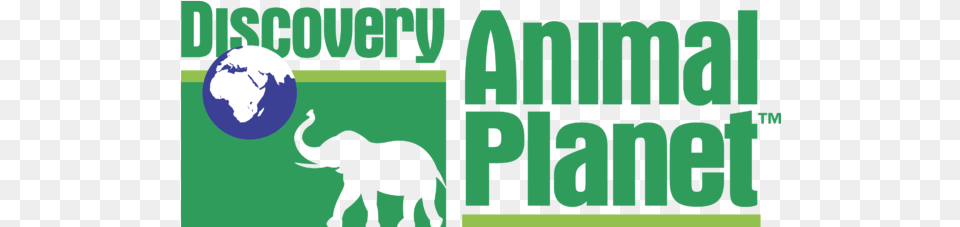 Discovery Animal P 2 Logo Discovery Channel, Elephant, Mammal, Wildlife, Zoo Free Png Download