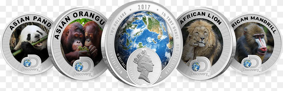 Discovery Channel Discovery Channel Silver Coins Discovery Channel, Animal, Mammal, Lion, Wildlife Free Transparent Png