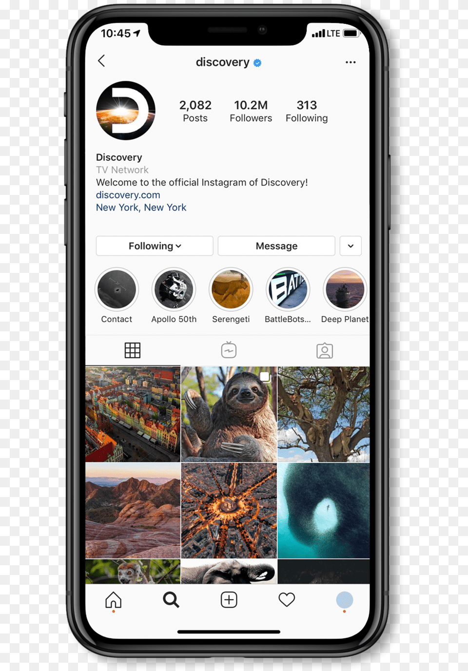 Discovery Ig Home Mockup Iphone, Electronics, Mobile Phone, Phone, Animal Free Png Download