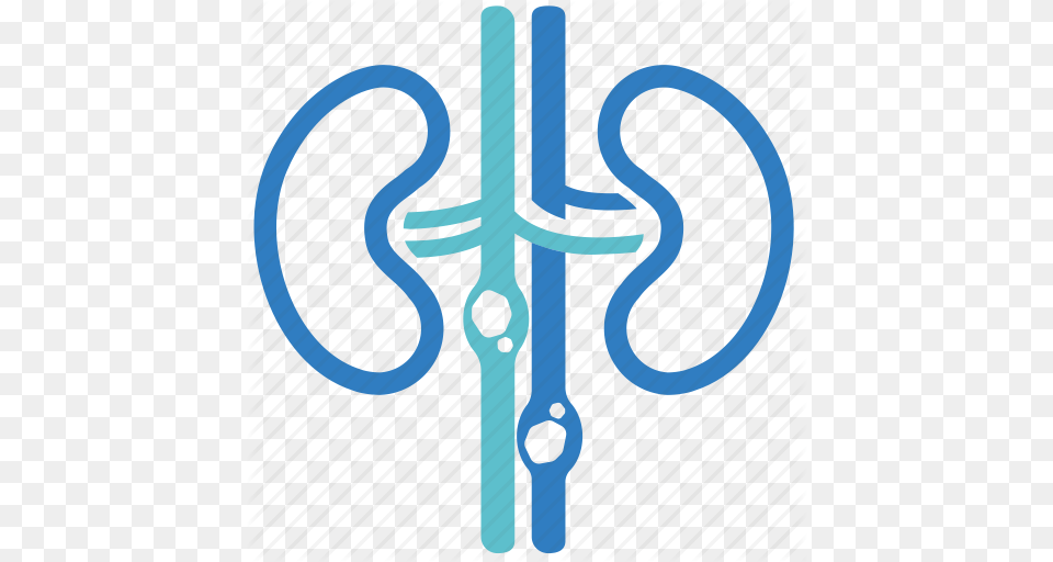 Disease Gravel Kidney Kidney Calculi Kidney Stone Renal Stone Png Image