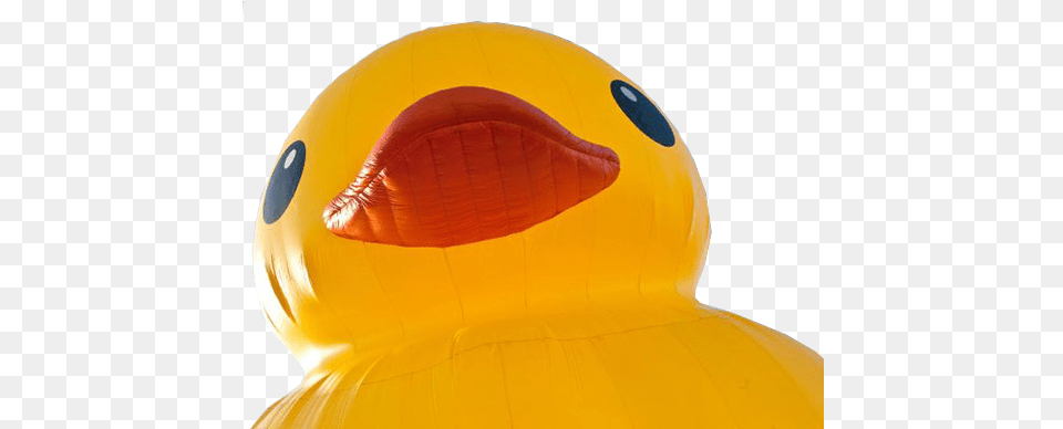 Disgruntled Ramblings And Designs Rubber Ducky Background, Inflatable, Balloon, Clothing, Hardhat Free Transparent Png