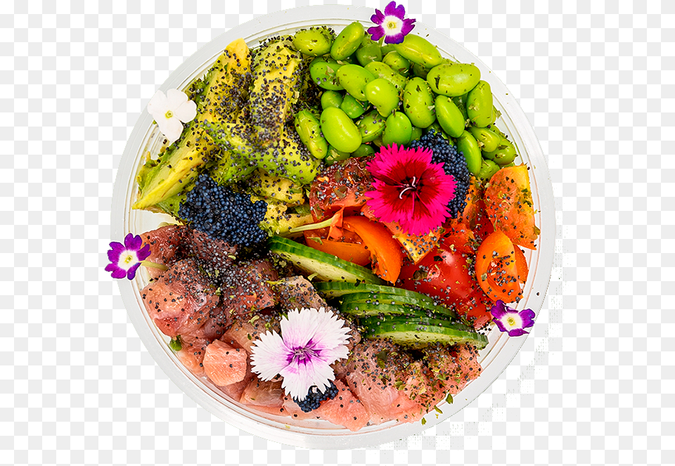 Dish, Food, Food Presentation, Lunch, Meal Png