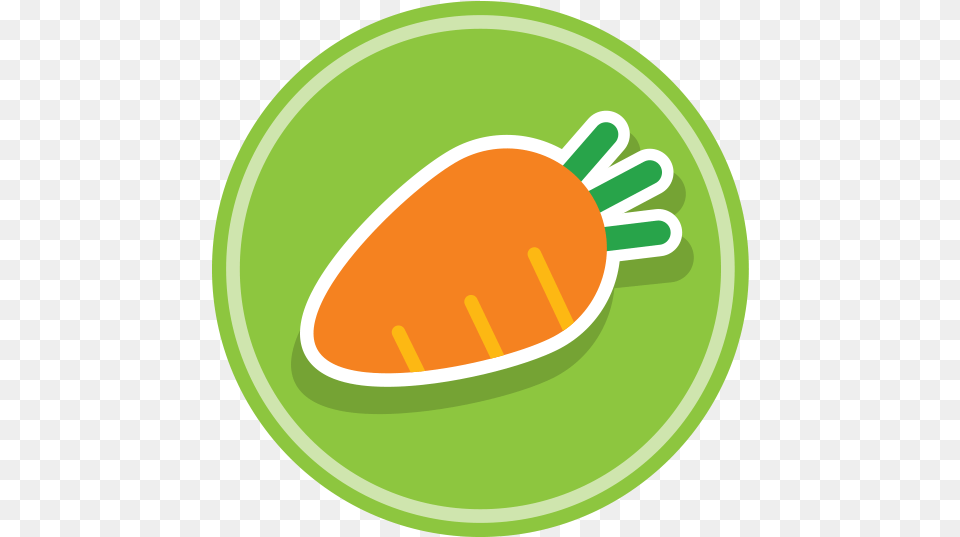 Dish, Carrot, Food, Plant, Produce Png