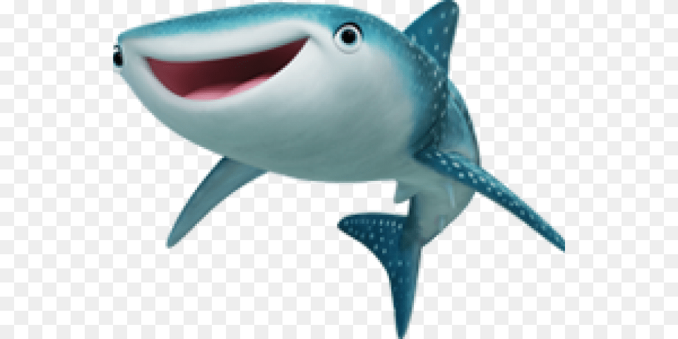 Disney Finding Dory Destiny, Animal, Sea Life, Fish, Shark Png Image