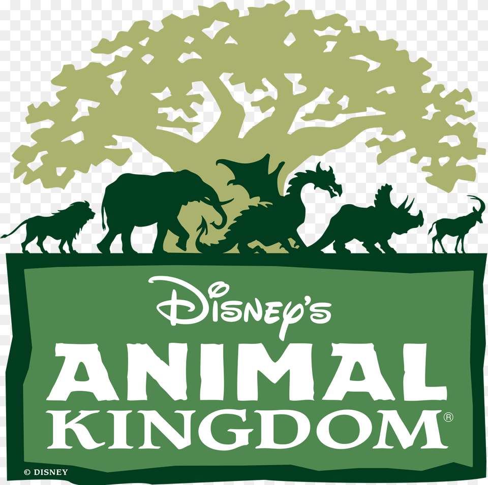 Disneys Animal Kingdom Disney Animal Kingdom, Advertisement, Book, Publication, Plant Free Transparent Png