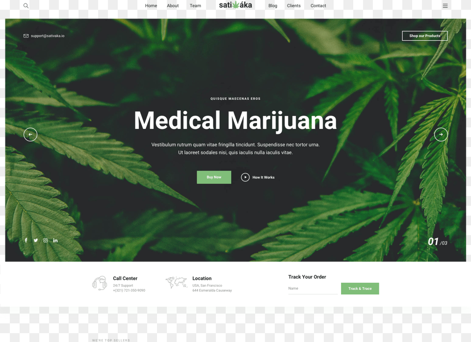 Dispensary Websites, Leaf, Plant, Vegetation, Weed Png