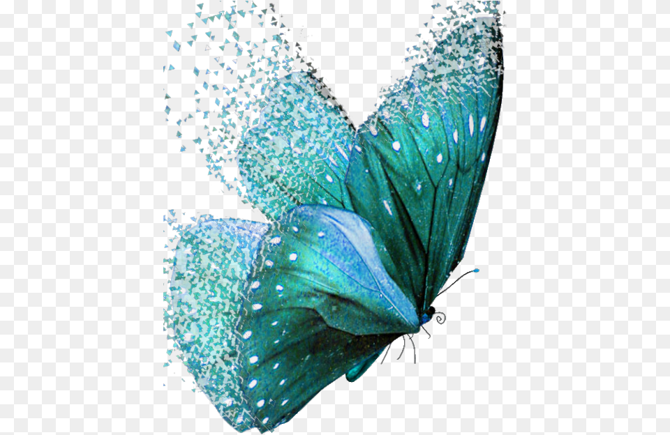Dispersion Butterflies Teal Teal Colored Butterflies, Animal, Butterfly, Insect, Invertebrate Free Png
