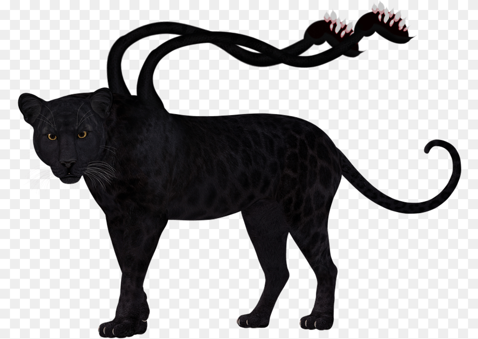 Displacer Panther, Animal, Mammal, Wildlife, Lion Png