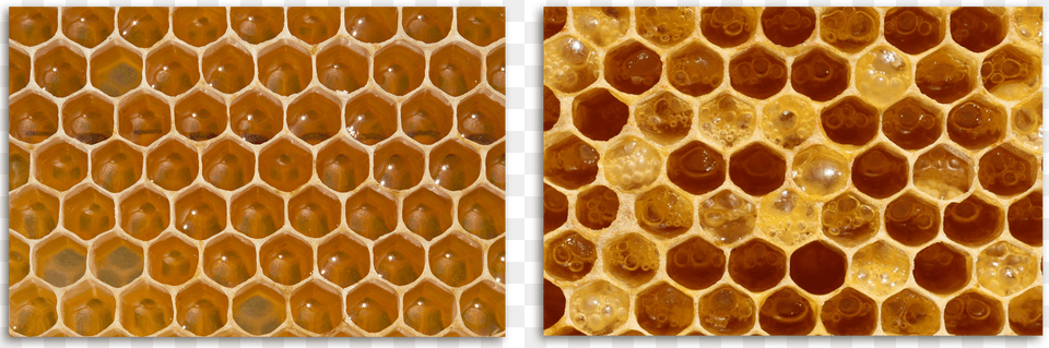 Display The Following Marina, Food, Honey, Honeycomb Free Png