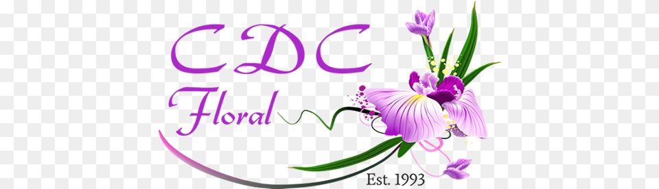 Distinctive Creations Inc Orlando Wedding Flower Wedding Violet, Purple, Plant, Iris, Anther Png