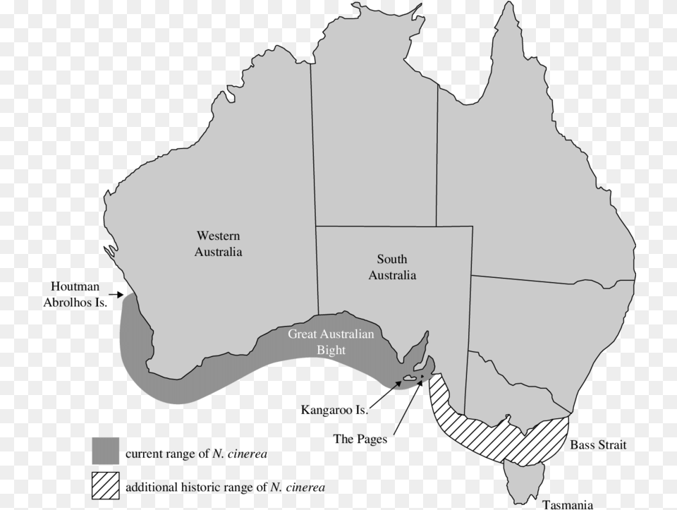 Distribution Of Extant Australian Sea Lion Breeding Australian Sea Lion Distribution, Plot, Chart, Map, Adult Png Image