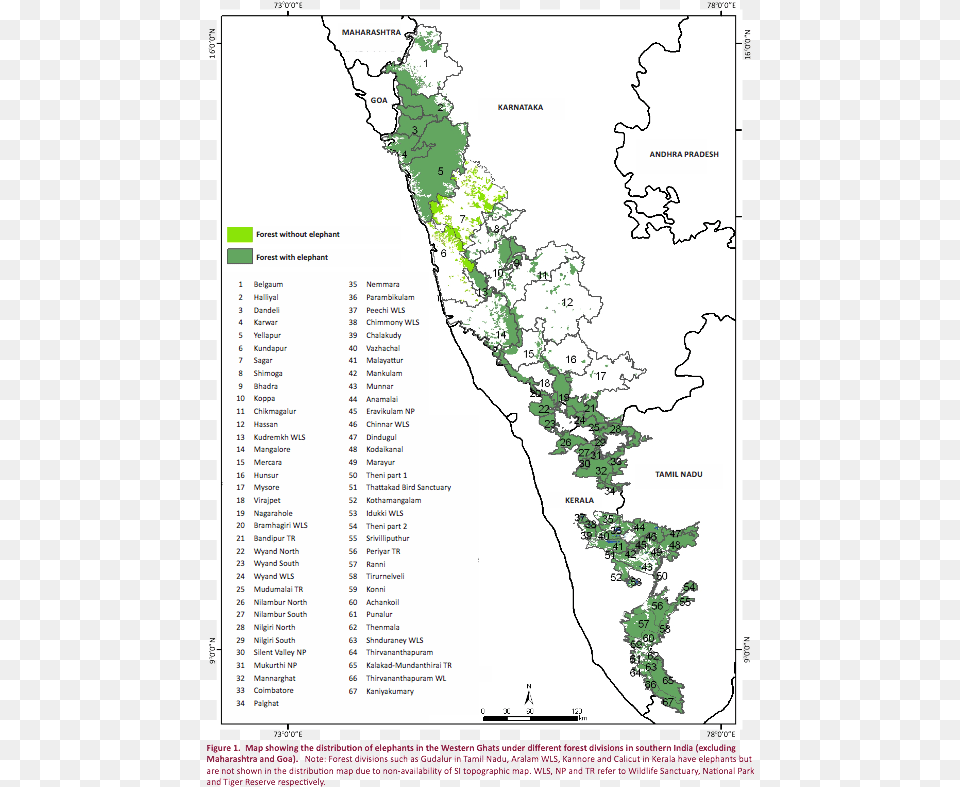 Distribution Of Western Ghats In Kerala, Plot, Plant, Chart, Vegetation Png Image