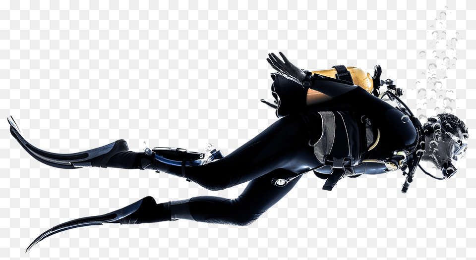 Diver, Adult, Female, Person, Woman Png