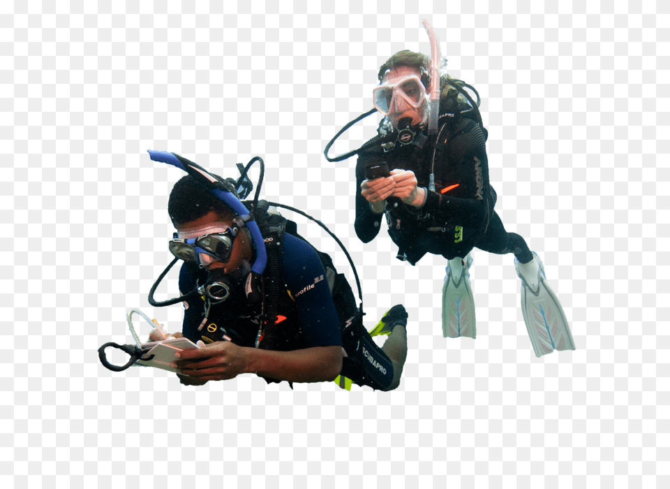 Diver, Water, Adventure, Sport, Scuba Diving Free Png Download