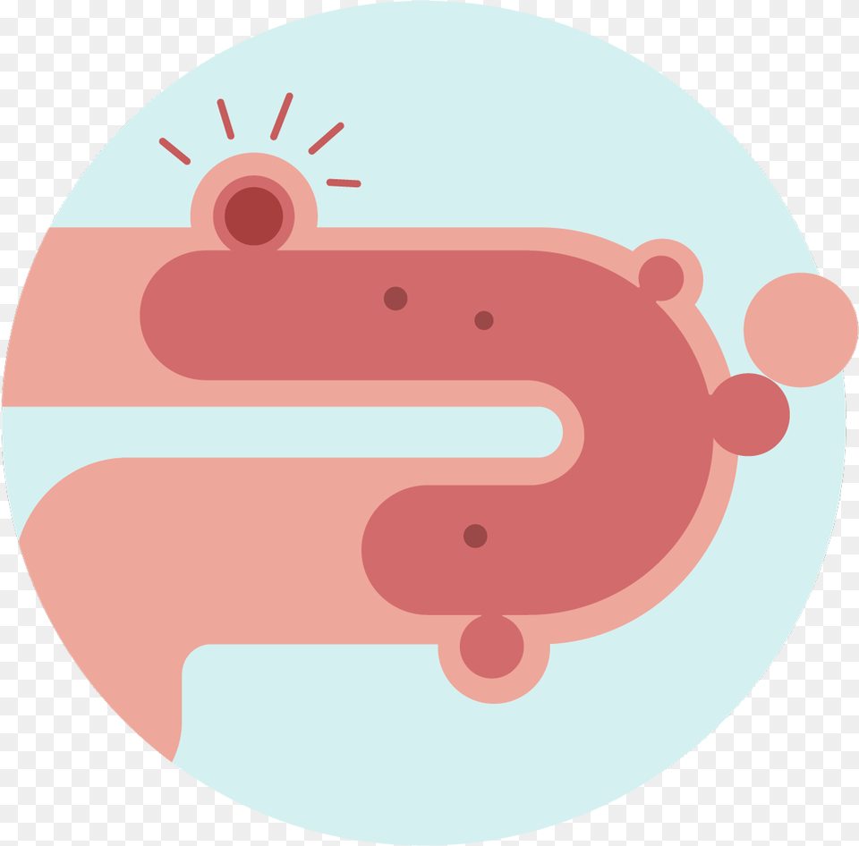Diverticulosis Diverticulitis Icon, Disk Free Png