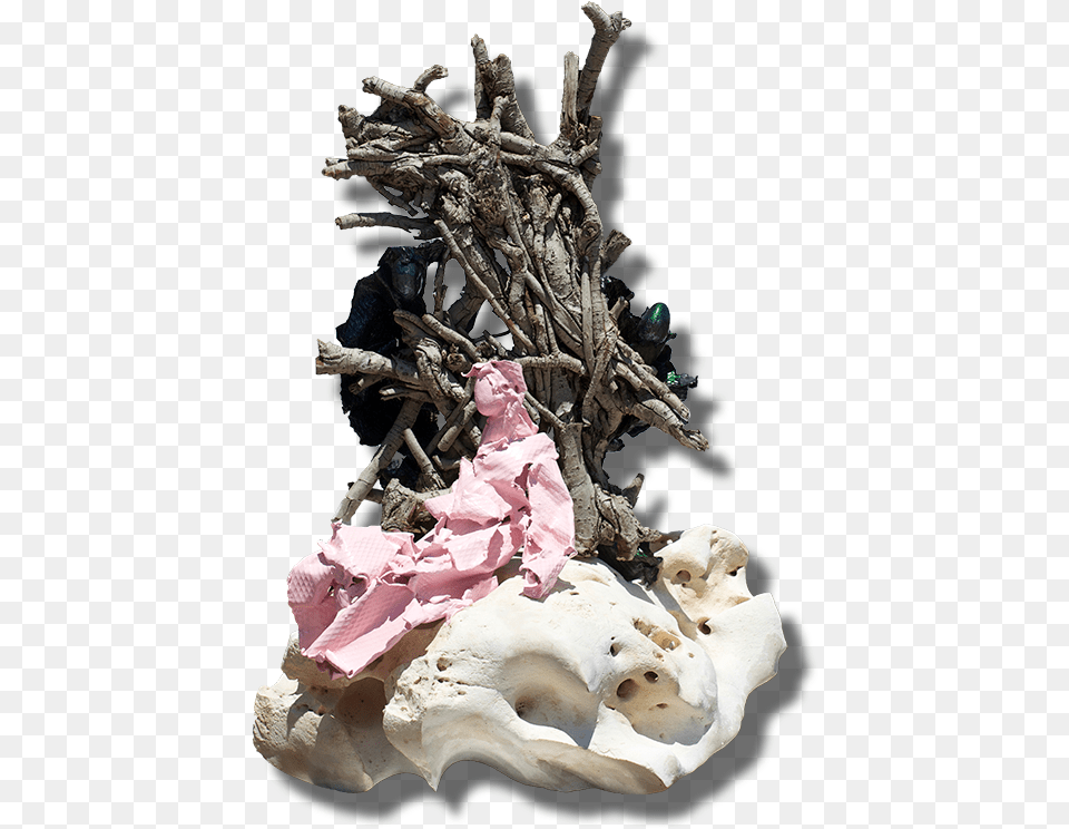 Divertimenti Statue, Driftwood, Wood, Animal, Bear Png Image