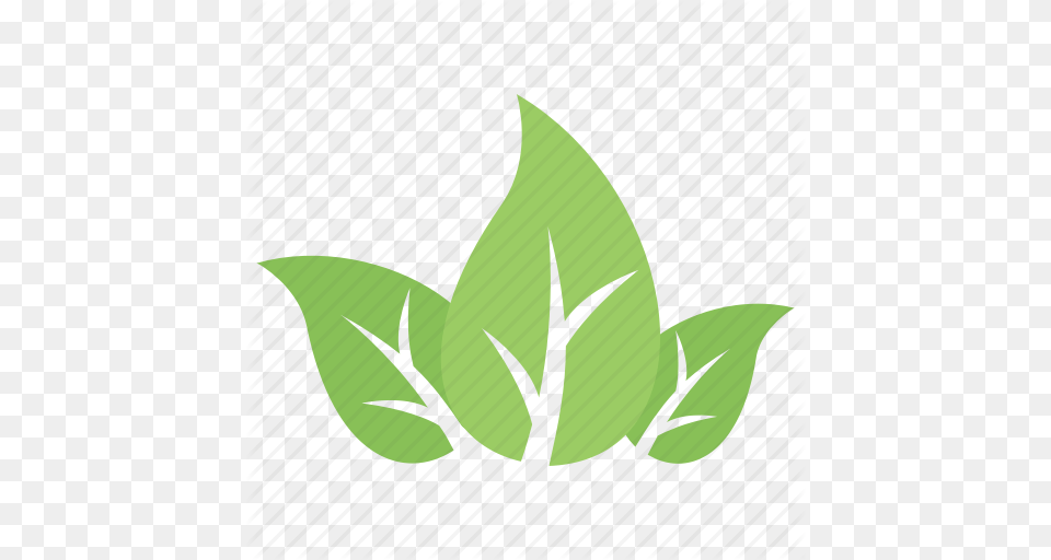 Divided Leaf Green Leaves Leaf Logo Three Leaves Tripartite, Plant, Herbal, Herbs, Animal Free Transparent Png