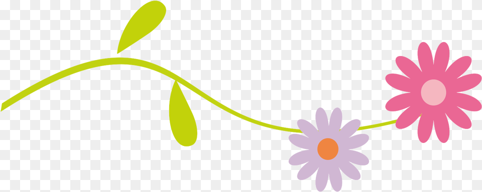 Divider Clipart Flower Lines Clip Art, Daisy, Petal, Plant, Floral Design Png Image