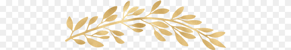 Divider Illustration, Art, Floral Design, Graphics, Leaf Png