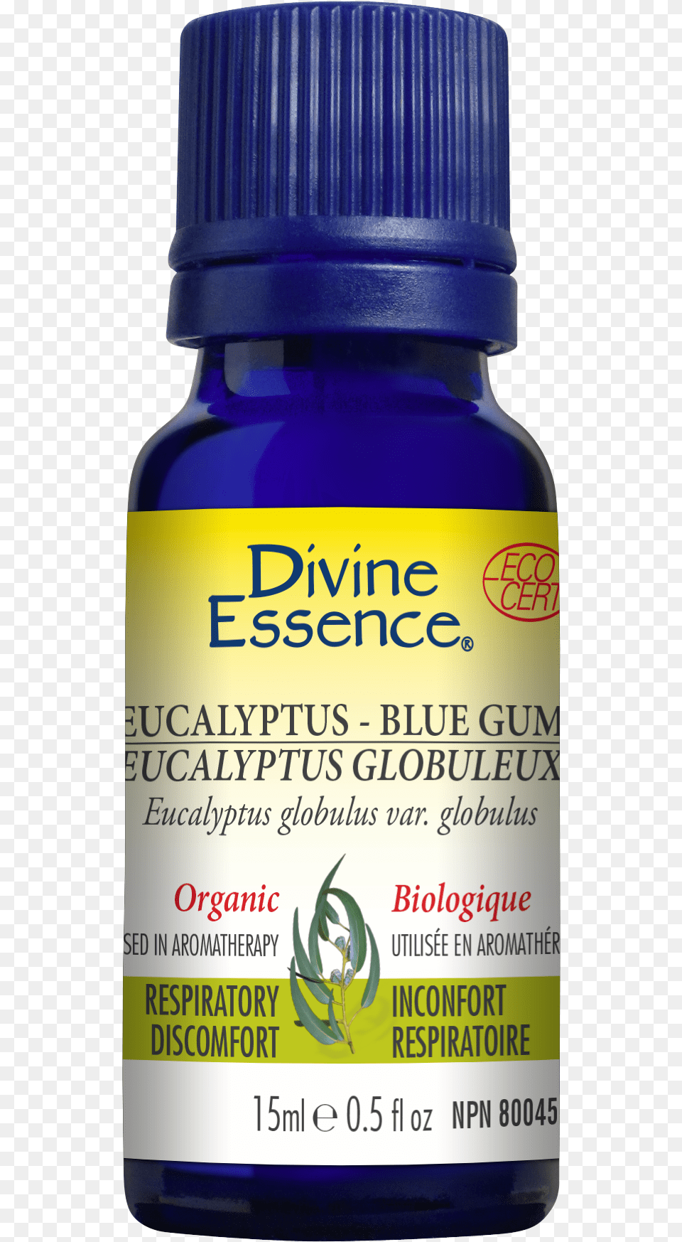 Divine Essence Eucalyptus Radiata, Herbal, Herbs, Plant, Astragalus Free Png Download