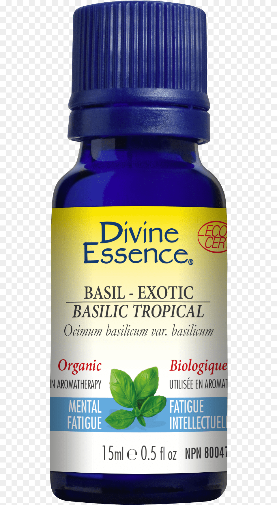 Divine Essence Tea Tree, Herbal, Herbs, Plant, Astragalus Png Image