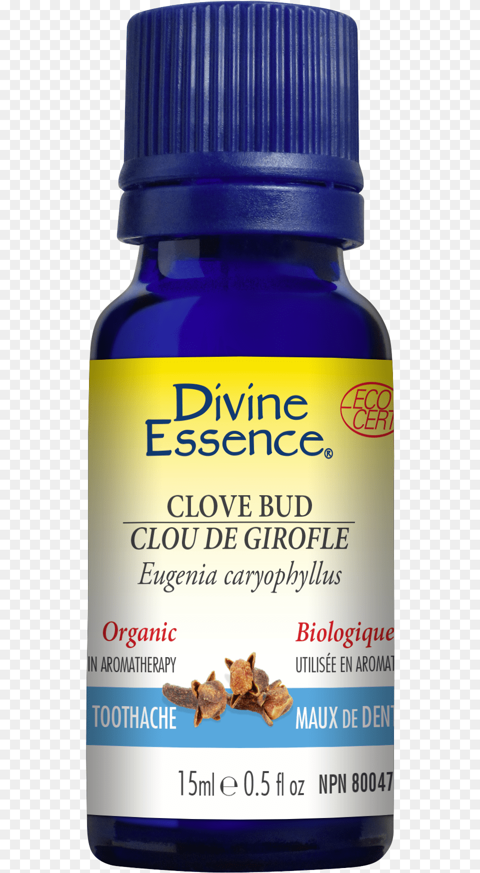 Divine Essence Tea Tree Oil, Herbal, Herbs, Plant, Astragalus Free Png Download