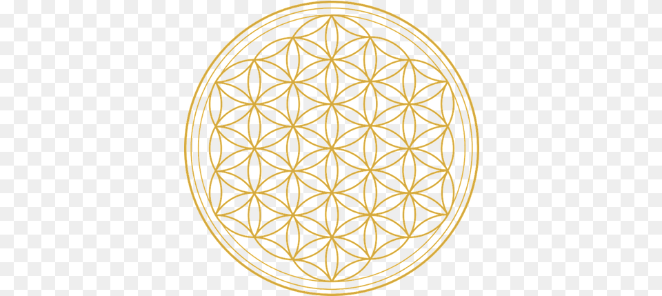 Divine Sensuality Flower Of Life Draw, Home Decor, Pattern, Rug Free Png Download