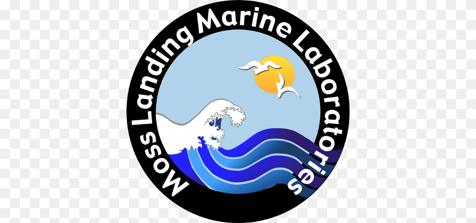 Diving Clipart Marine Science, Logo, Water Sports, Water, Swimming Free Png